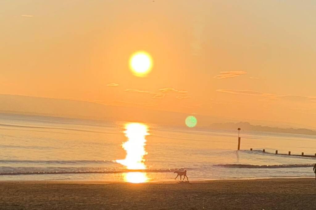 Bournemouth Nr Town Beach Train Coach Shops Lovely Entire Apartment Allows Quiet Good Dogs Exteriör bild