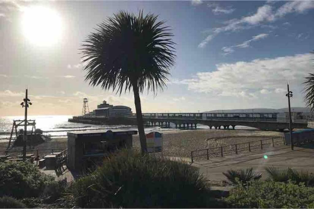 Bournemouth Nr Town Beach Train Coach Shops Lovely Entire Apartment Allows Quiet Good Dogs Exteriör bild