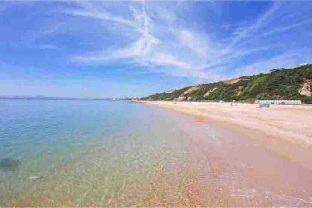 Bournemouth Nr Town Beach Train Coach Shops Lovely Entire Apartment Allows Quiet Good Dogs Exteriör bild