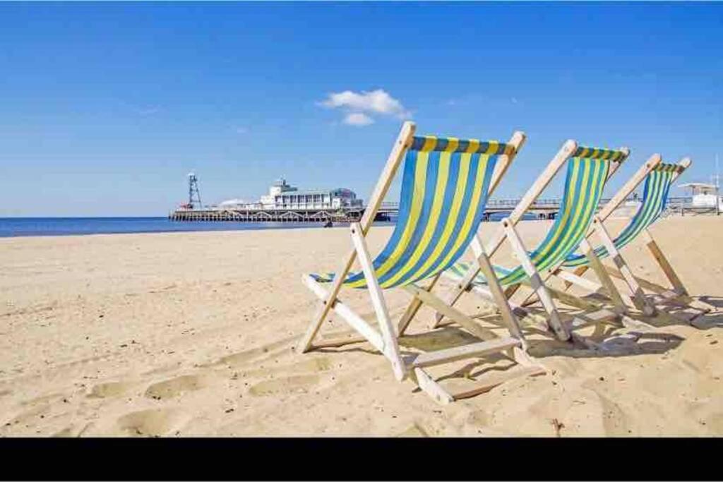 Bournemouth Nr Town Beach Train Coach Shops Lovely Entire Apartment Allows Quiet Good Dogs Exteriör bild