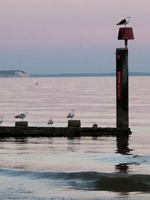 Bournemouth Nr Town Beach Train Coach Shops Lovely Entire Apartment Allows Quiet Good Dogs Exteriör bild